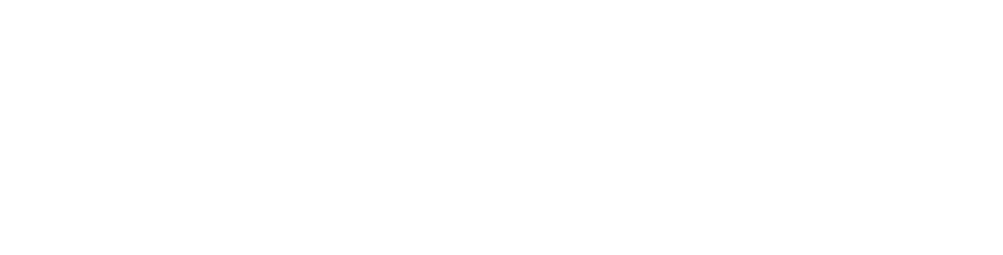neplatneizp.cz
